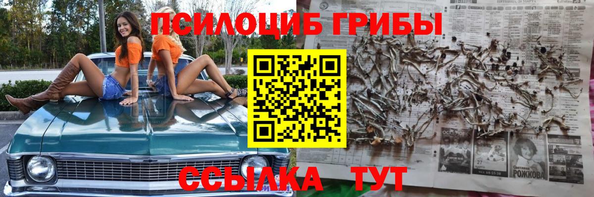 Псилоцибиновые грибы мицелий Серпухов